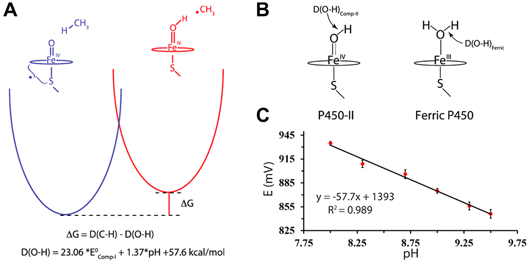 Figure 11.