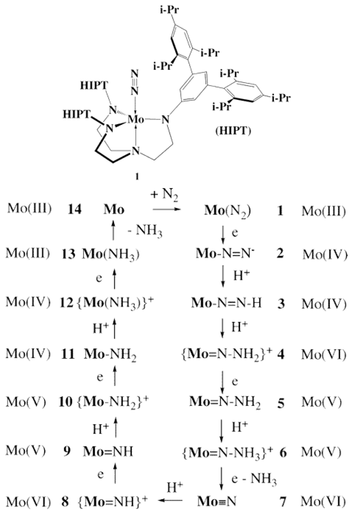 Scheme 8.