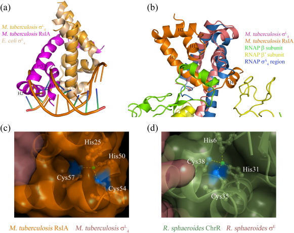 Supplementary Fig. 3