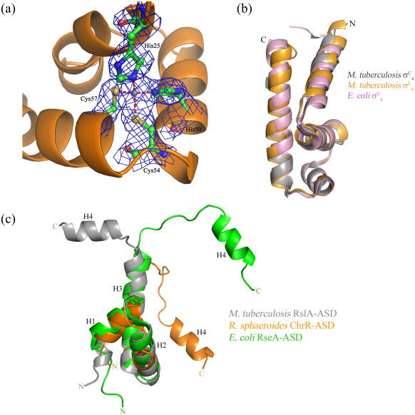 Supplementary Fig. 2