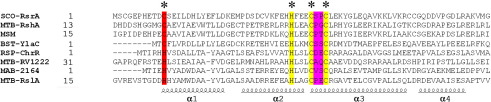 Supplementary Fig. 8