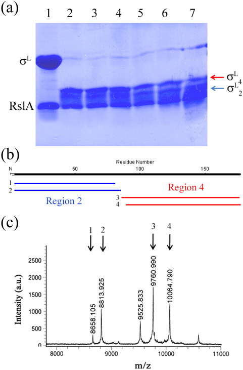 Supplementary Fig. 6