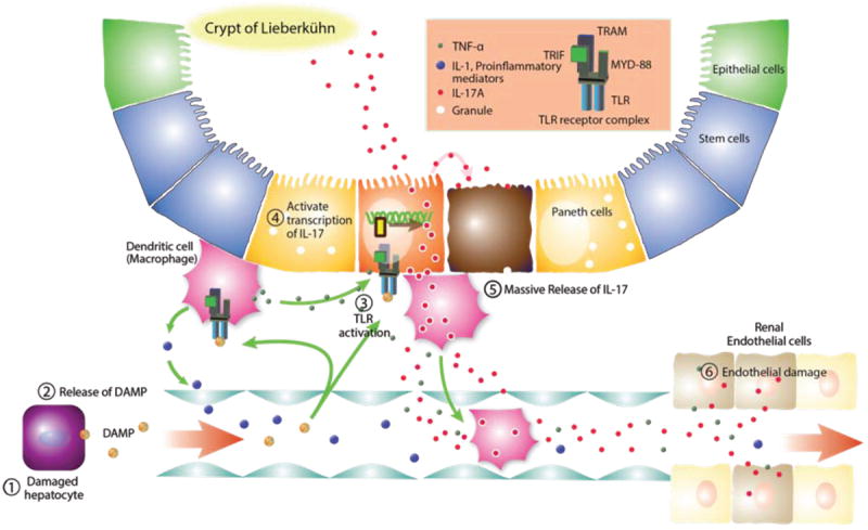 FIGURE 2