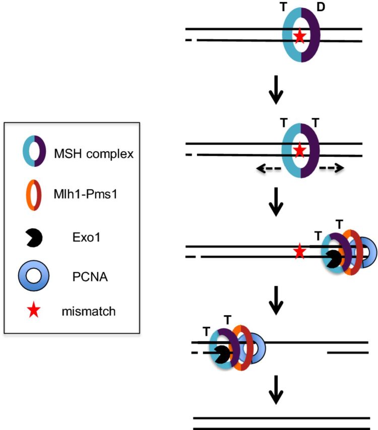 Figure 2.