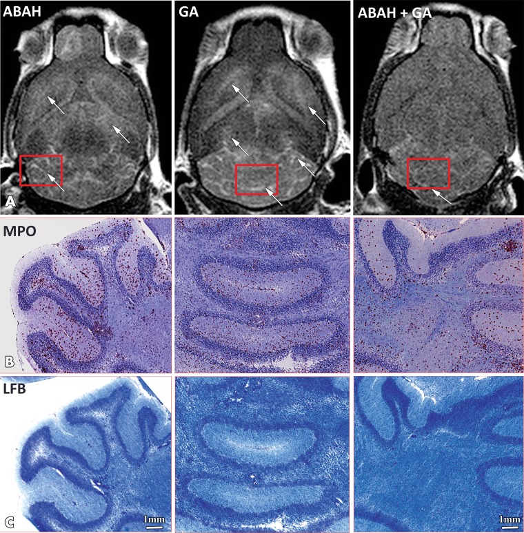 Figure 3: