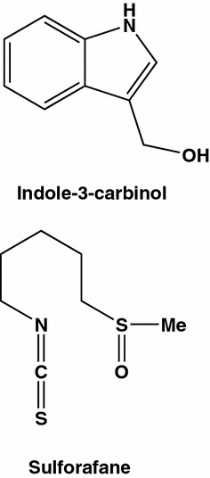 Fig. 12