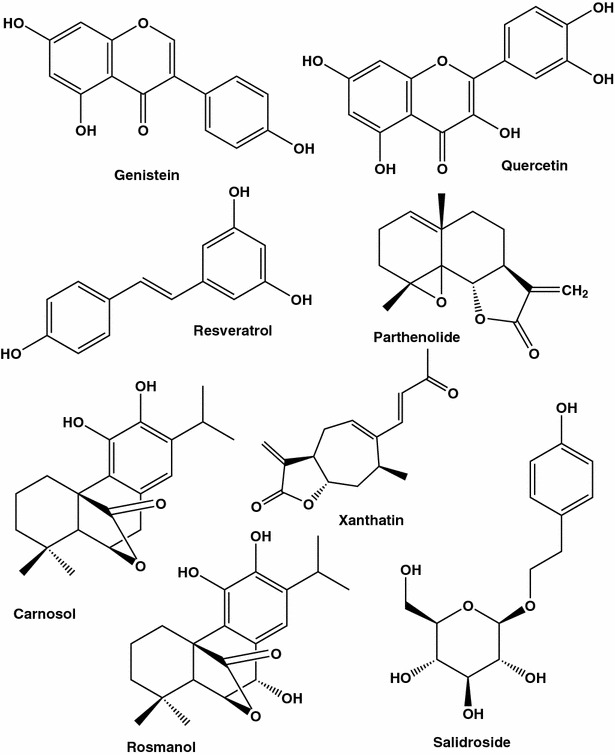 Fig. 1