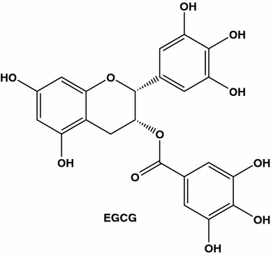 Fig. 13