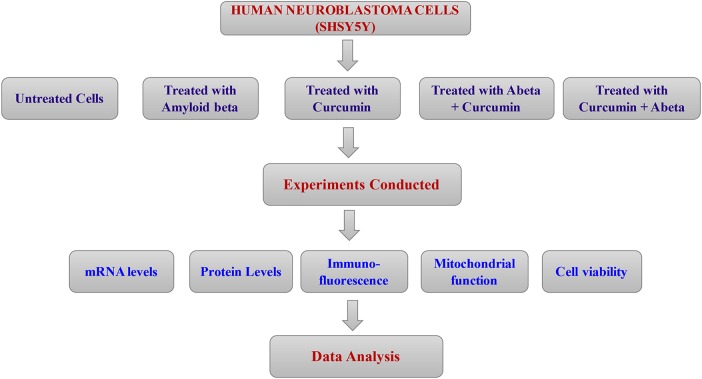 Figure 1