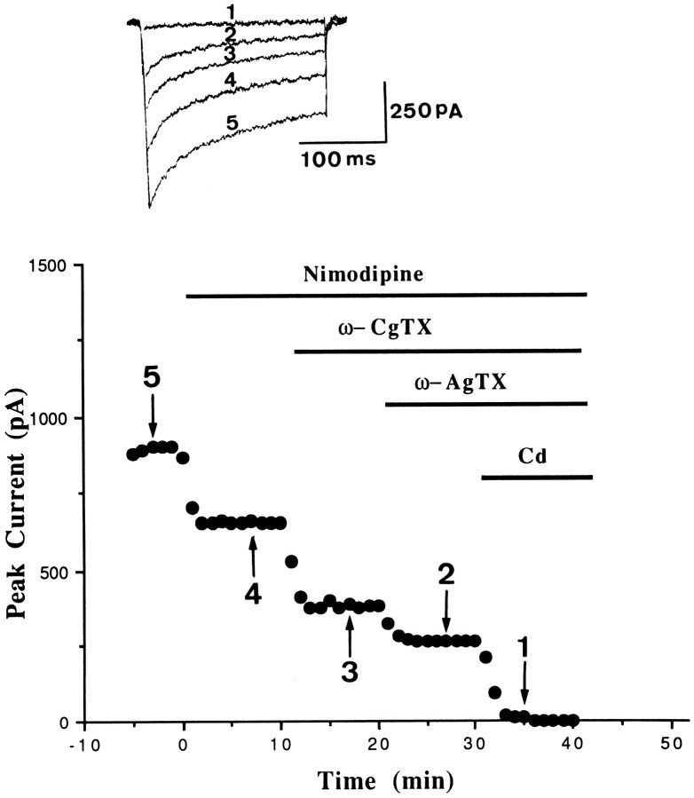 Fig. 3.