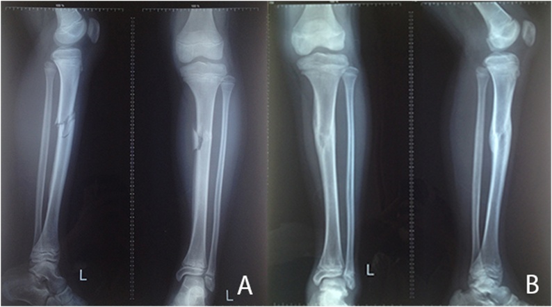 Fig. 5