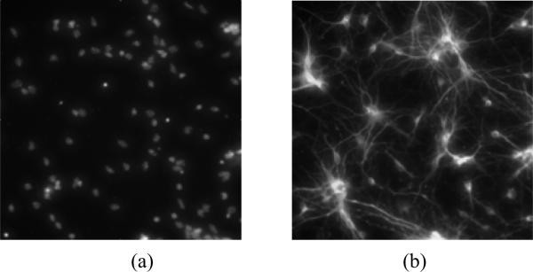 Fig.2