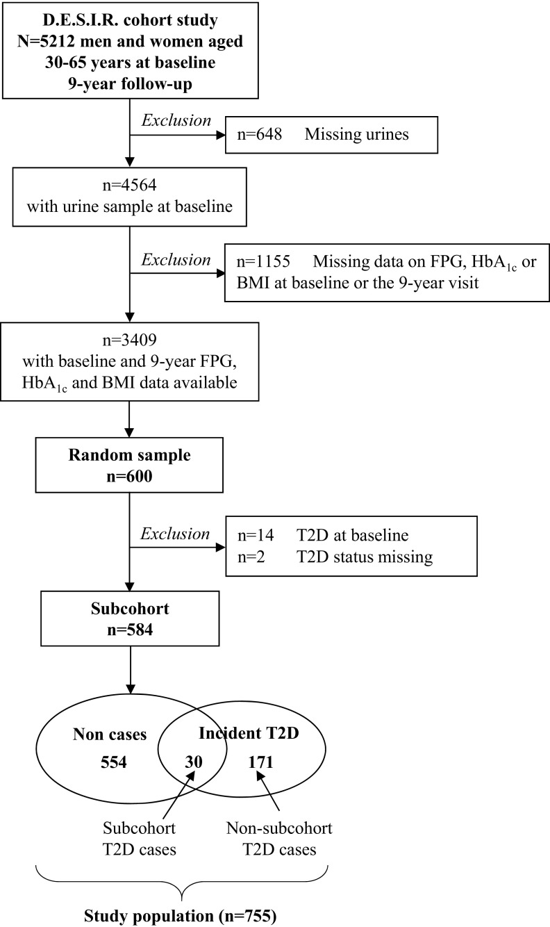 Figure 1 is a flow chart. The first level reads as follows: D.E.S.I.R. cohort study N=5,212 men and women aged 30-65 years at baseline 9-year follow-up. This leads to the second level reading as follows: n equals 4,564 with urine sample at baseline. Exclusion is 648 missing urine samples. The third level reads as follows: n equals 3,409 with baseline and 9-year FPG, HbA1c and BMI data available. Here, the exclusion is total number of 1,155 missing data on FPG, HbA1c, or BMI at baseline or the 9-year visit. The fourth level reads as follows: random sample n equals 600. The fifth level reads subcohort n equals 584. The exclusion is n equals 14, T2D at baseline; and n equals 2, T2D status missing. This leads to a Venn diagram with two circles each labeled noncases (554) and incident T2D (171). The overlap of the two circles is labeled subcohort T2D cases (30). The total study population in the above cohort is 755.