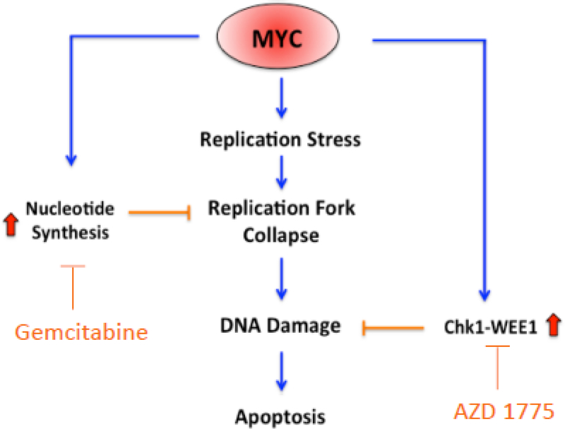 Figure 7.