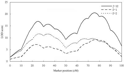 Figure  2. 