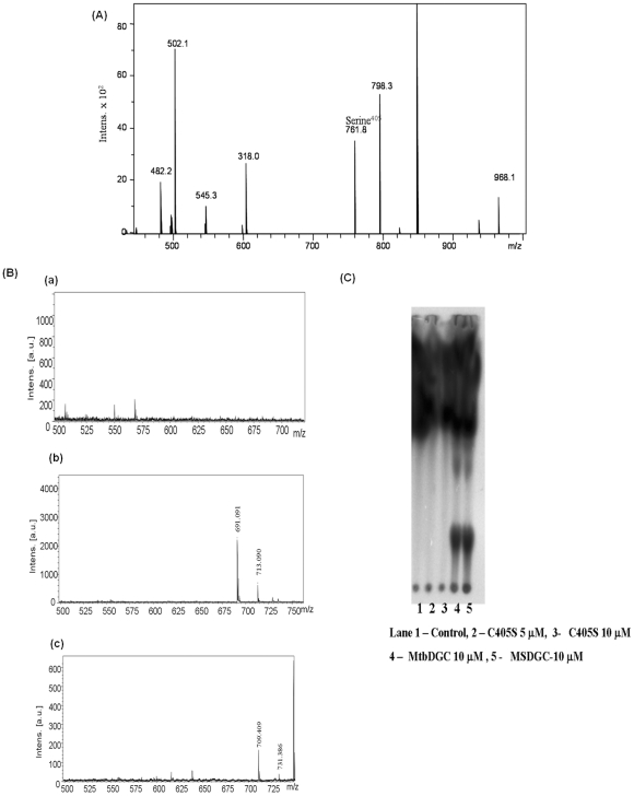 Figure 13