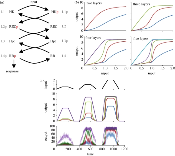 Figure 1.