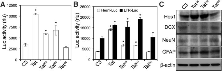 Figure 9.