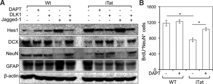 Figure 10.