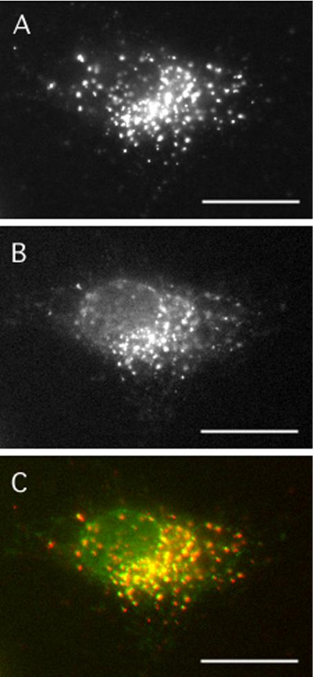 Figure 2.