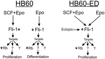 FIG. 10