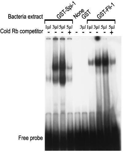 FIG. 5