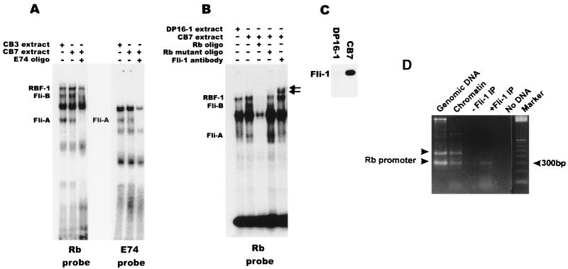 FIG. 6