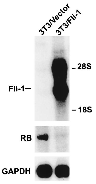 FIG. 8