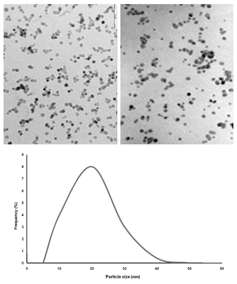 Fig 5