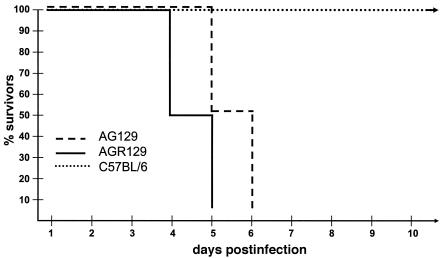 FIG. 2.