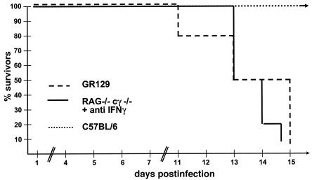 FIG. 1.