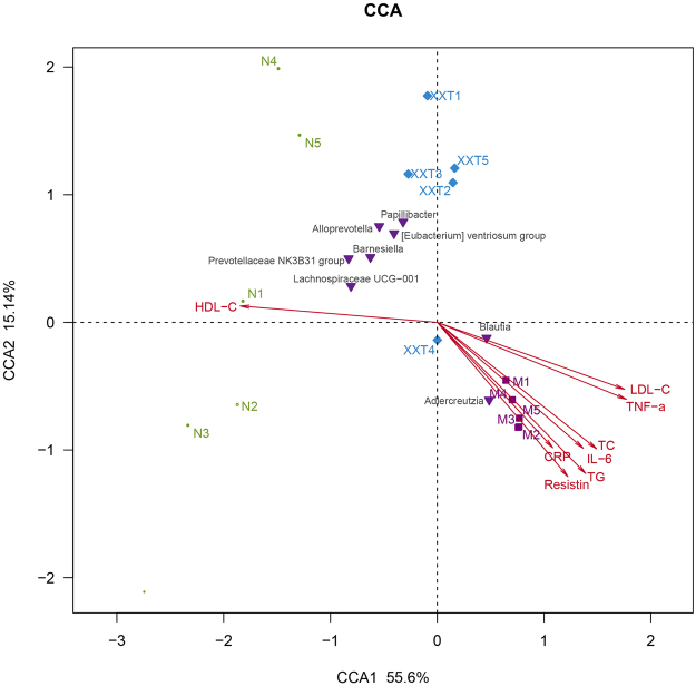 Figure 7