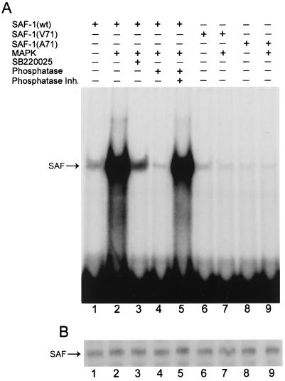 FIG. 8.