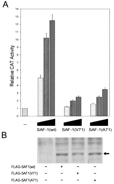 FIG. 7.