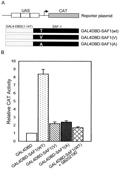 FIG. 9.