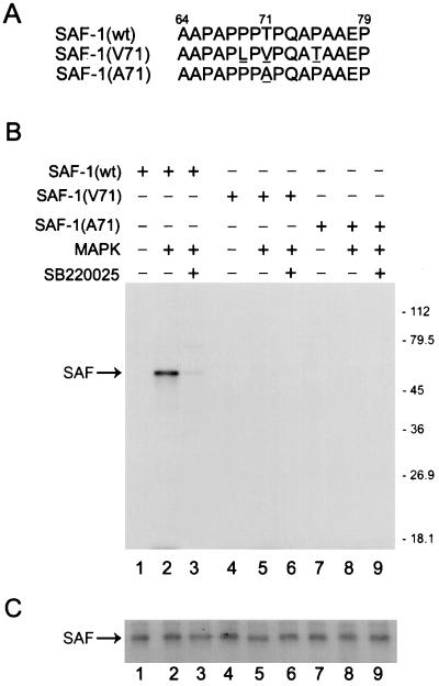 FIG. 5.