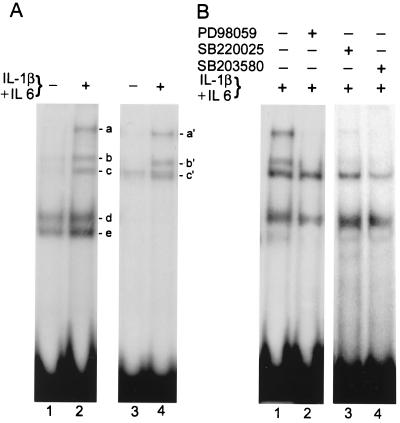 FIG. 1.