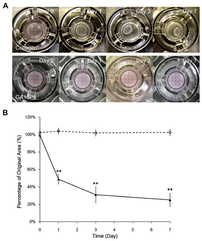 Fig. 10