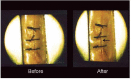 Fig. 4b