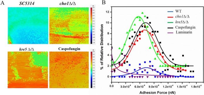 FIG 6