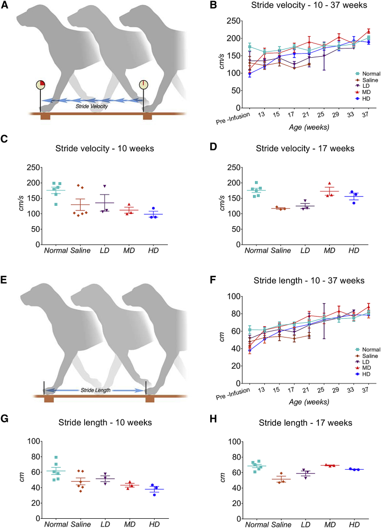 Figure 4