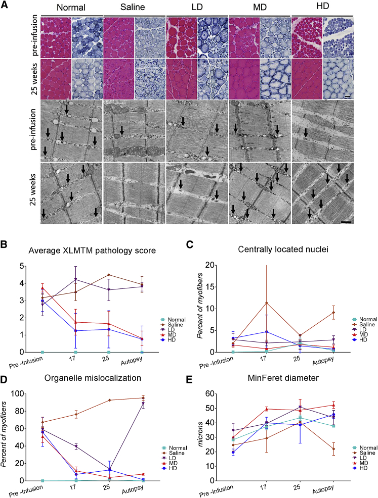 Figure 6