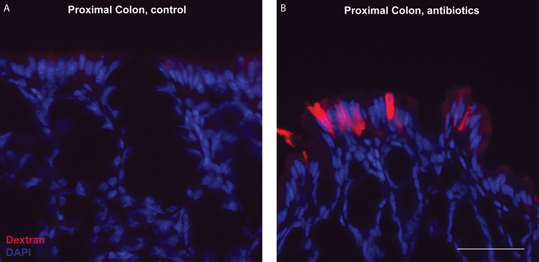 Figure 4: