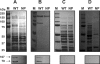 FIG. 4.