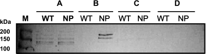 FIG. 6.