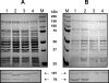 FIG. 5.