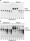 FIG. 7