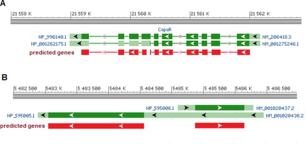 Figure 5.