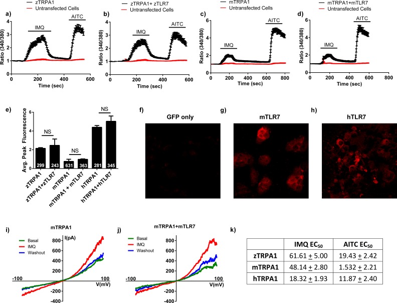 Figure 3—figure supplement 1.