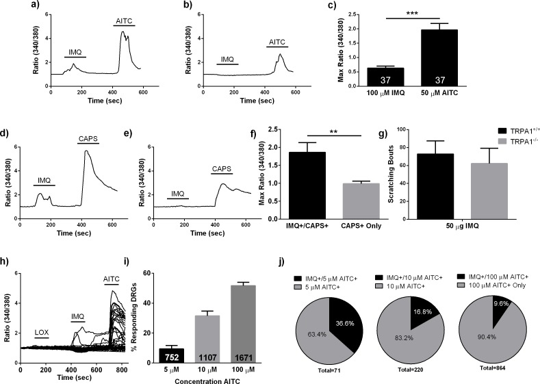 Figure 5—figure supplement 1.